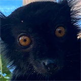 Avatar du membre