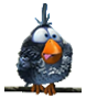 Avatar du membre